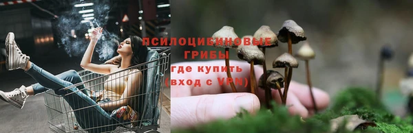 ПСИЛОЦИБИНОВЫЕ ГРИБЫ Балабаново