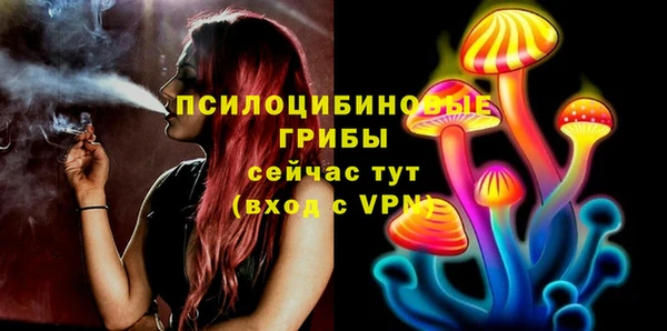 ПСИЛОЦИБИНОВЫЕ ГРИБЫ Балабаново